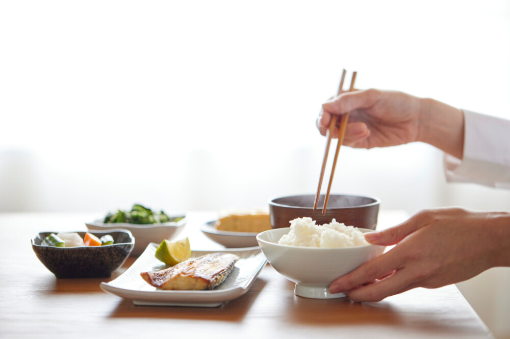 栄養管理プログラムとは?